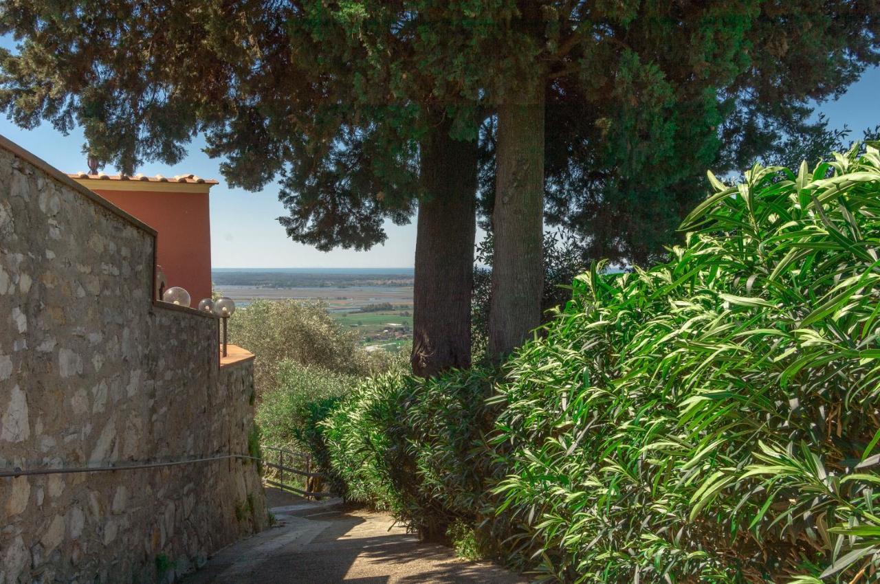 Casale Belvedere "L'Ulivo" E "La Terrazza" Massarosa Exterior foto
